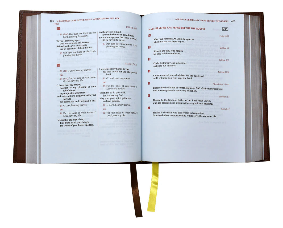Lectionary - Weekday Mass (Vol. IV)