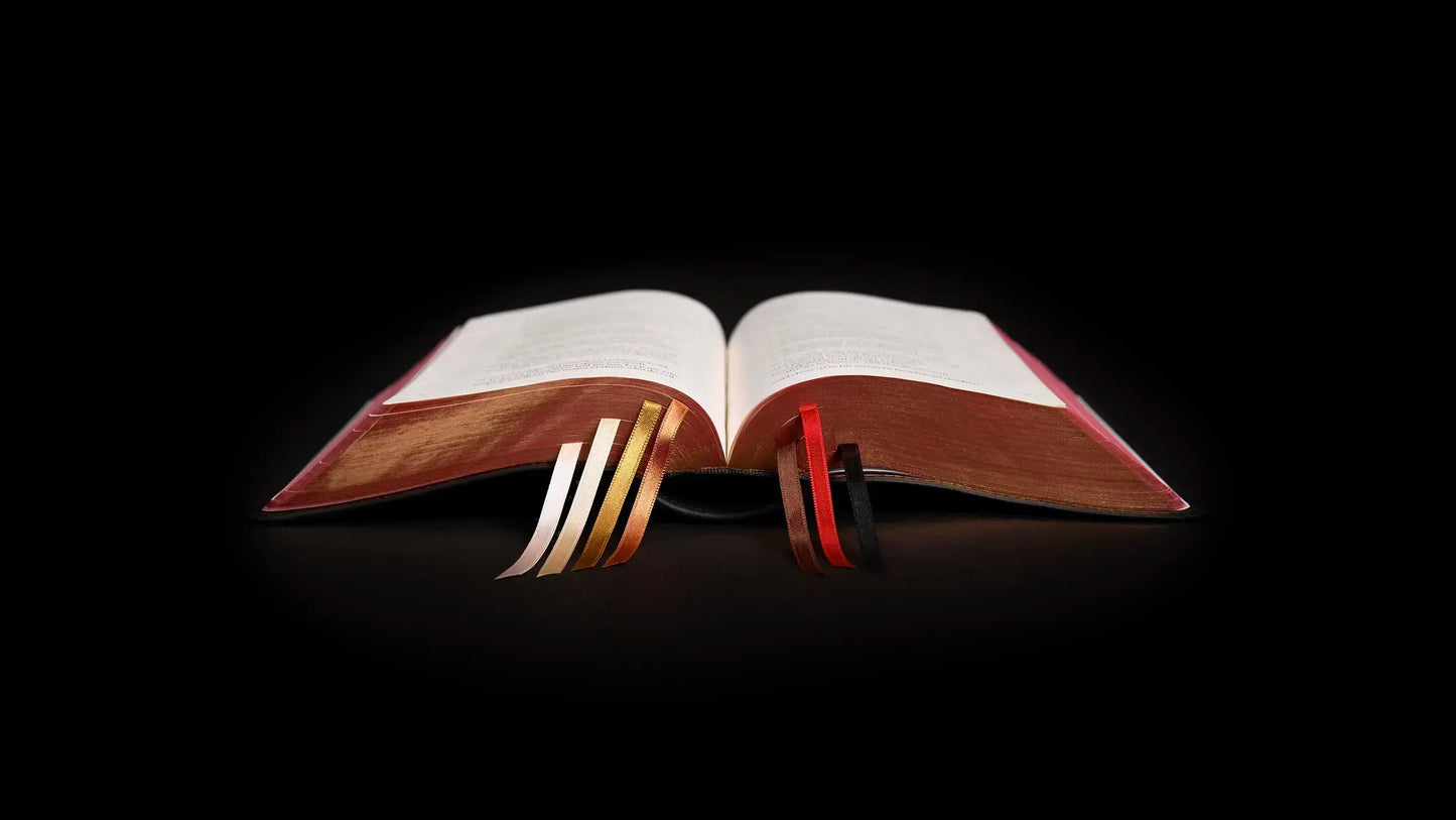 Premium Leather - Large Size - Liturgy of the Hours, 2nd Ed
