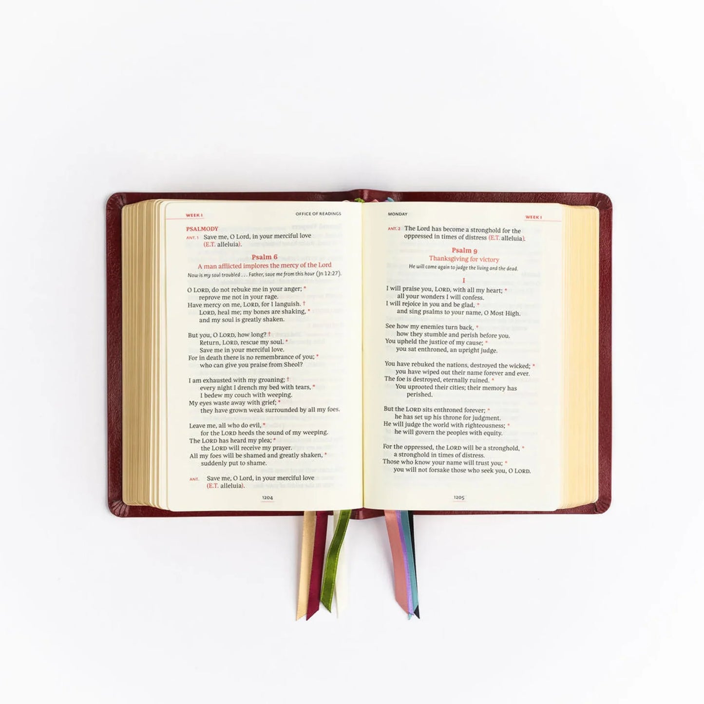 Standard Leather - Standard Size - Liturgy of the Hours, 2nd Ed